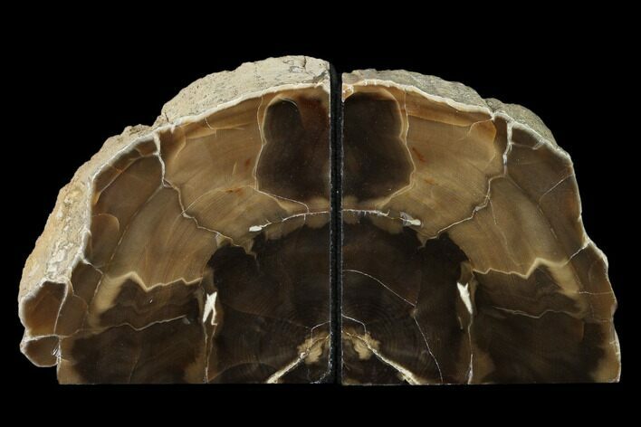 Petrified Wood Bookends - Oregon #162871